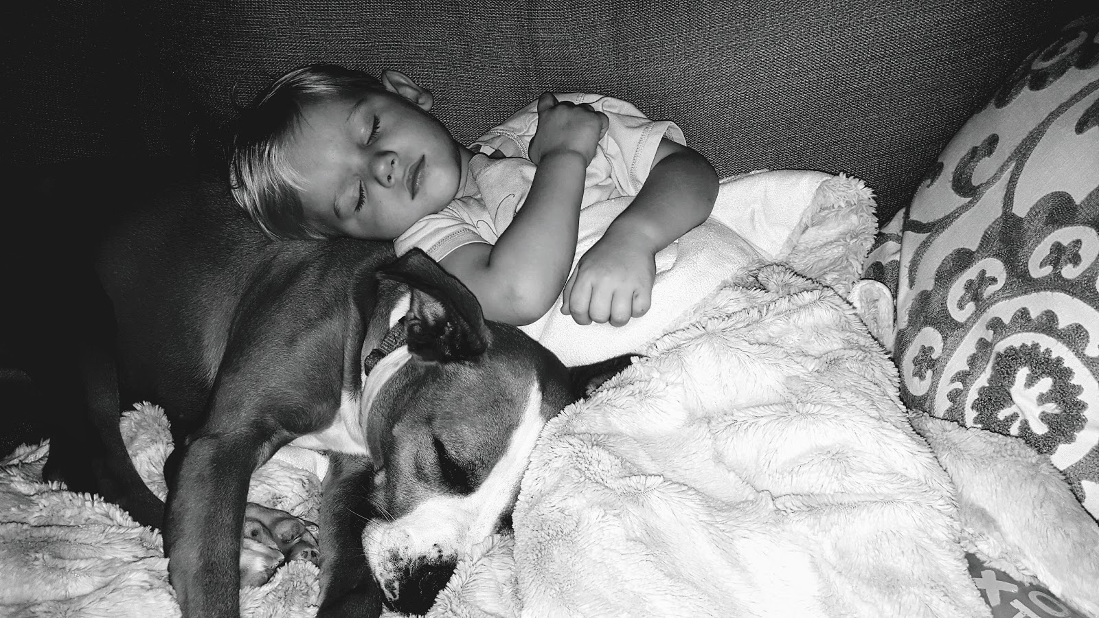 black white photo of dog