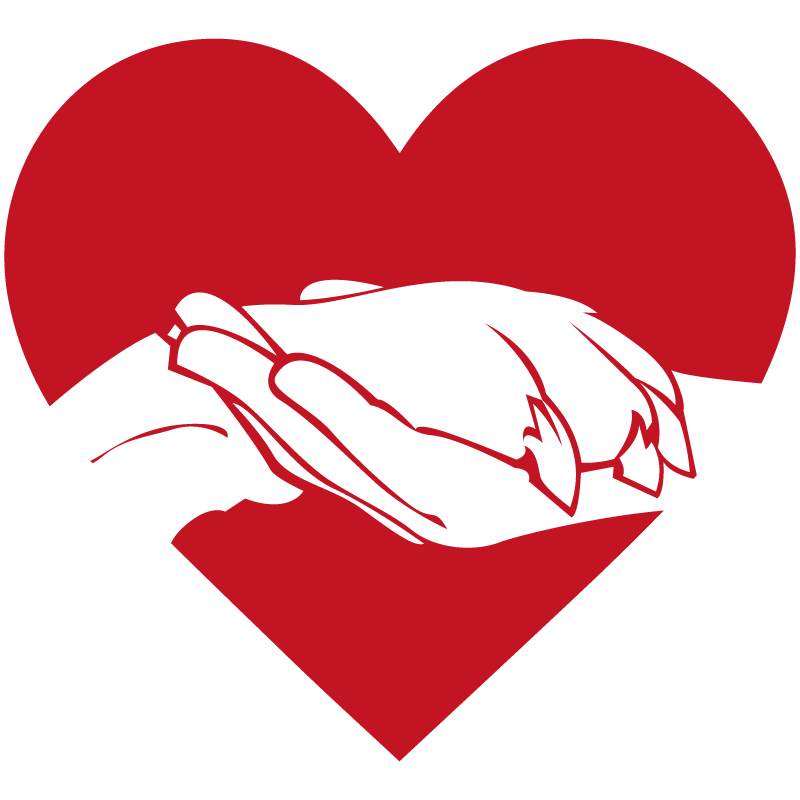 paw in a hand above the heart